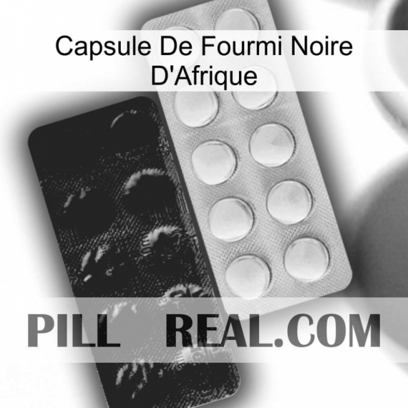 Africa Black Ant Capsule new14